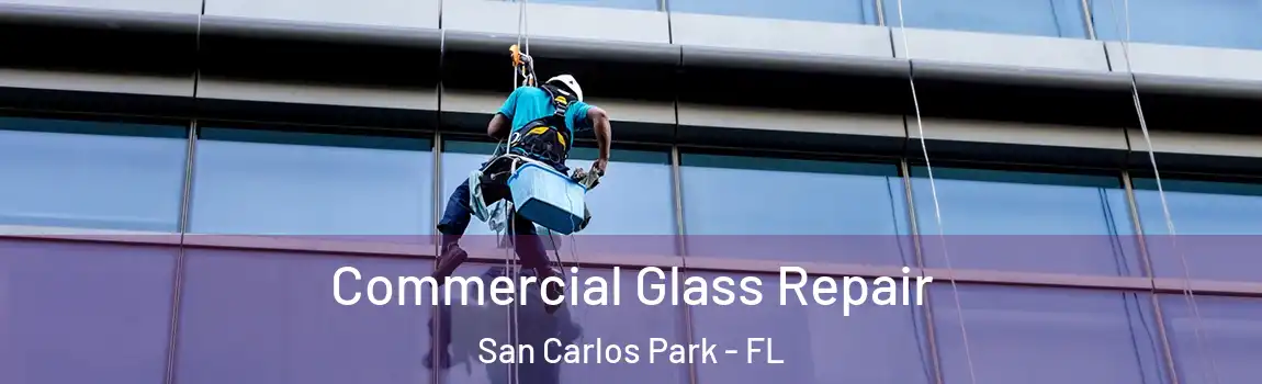  Commercial Glass Repair San Carlos Park - FL