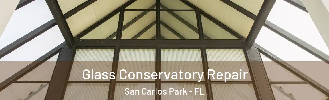  Glass Conservatory Repair San Carlos Park - FL