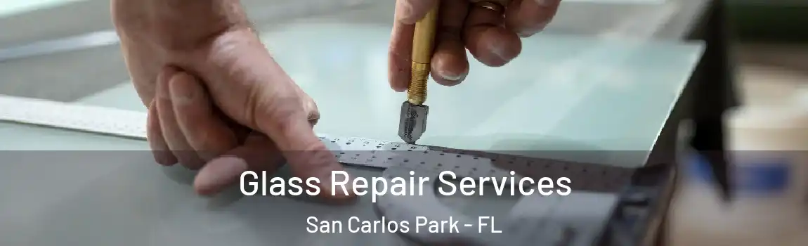 Glass Repair Services San Carlos Park - FL