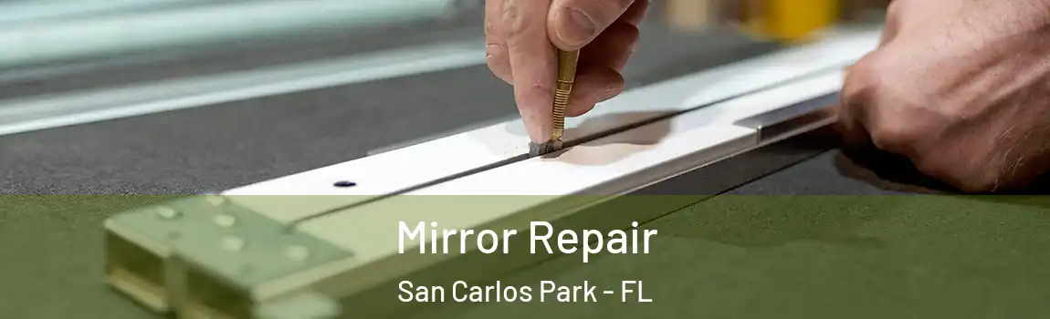  Mirror Repair San Carlos Park - FL