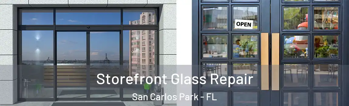  Storefront Glass Repair San Carlos Park - FL
